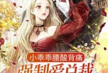 小乖乖腰酸背痛，强制爱总裁是疯批免费阅读，小乖乖腰酸背痛，强制爱总裁是疯批孟霁陆野-贝壳文学