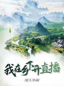 我在乡下开直播主角陈阳罗凤凰老陈头马大力小说完结版章节在线阅读