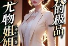 我的极品尤物姐姐小说完结版章节免费阅读-贝壳文学