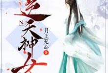 哪里能找到逆天神女小说的最新更新和免费章节？-贝壳文学