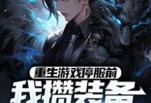重生游戏停服前，我攒装备末世成神这本小说完结了吗？免费查看最新章节-贝壳文学