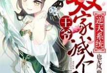 主人公叫韩菲秦澈的小说哪里免费看-贝壳文学