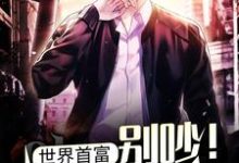 世界首富：别吵！忙着亏钱！小说全文哪里可以免费看？-贝壳文学