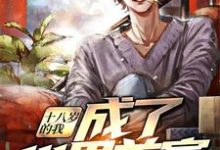 主人公叫沈元许曼沈敬的小说哪里免费看-贝壳文学