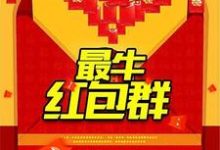 小说《最牛红包群》章节免费阅读-贝壳文学