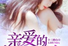 已完结小说《亲爱的，离婚吧》在线章节阅读-贝壳文学
