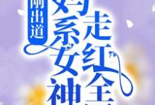 求刚出道：妈系女神走红全网小说的全文免费阅读链接-贝壳文学