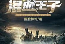 小说《霍格沃茨的混血王子》章节阅读-贝壳文学