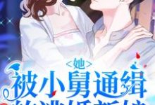 完结版《她!被小舅通缉的逃婚新娘》章节目录在线阅读-贝壳文学