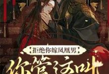 《拒绝你嫁凤凰男，你管这叫恶人？》全集免费在线阅读（阮云罗）-贝壳文学