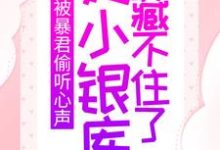被暴君偷听心声，她小银库藏不住了小说的无弹窗阅读体验，寻找免费阅读网站-贝壳文学