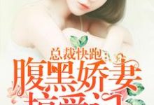 穆容穆然慕容穆南为主角的小说好看吗？免费读总裁快跑：腹黑娇妻掠爱记-贝壳文学