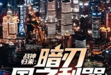战神归来：暗刃国之利器主角萧风小说完结版章节在线阅读-贝壳文学