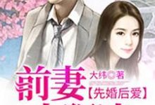 小说《先婚后爱，前妻太狠决》在线章节阅读-贝壳文学