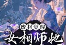 云清歌君承泽的故事在哪本书里?免费阅读废材觉醒:女相师她权倾天下-贝壳文学