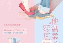 男女主人公林辰升周一南魏成恺赵悦靓小说他温柔了岁月章节免费阅读-贝壳文学