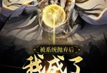 免费在线阅读被系统抛弃后，我成了绝世高手小说的正规网站有哪些？-贝壳文学