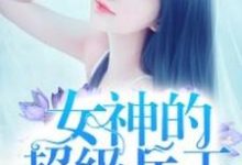 主角叶枫苏语晴吴芮小说完结版在线阅读，女神的超级兵王免费看-贝壳文学