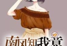 主角叫 安士赛孙凡的小说在哪阅读-贝壳文学