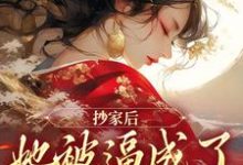 抄家后,她被逼成了国师夫人这本小说怎么样?免费在线阅读试试-贝壳文学