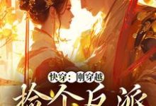 快穿:刚穿越,捡个反派当老公这本小说完结了吗?免费查看最新章节-贝壳文学