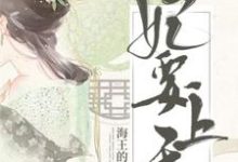 《妃要上天》全集免费在线阅读(林纨公西文风萏)-贝壳文学