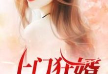 肖舜姚岑是哪本书的主角？寻找上门狂婿免费阅读-贝壳文学