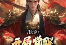 快穿:开局觉醒无上帝王系统小说无弹窗阅读的网站推荐-贝壳文学