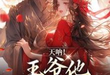 完结版《天呐!王爷他还在追妻》章节阅读-贝壳文学