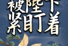 《小太监她被陛下紧盯着》小说章节列表免费试读，叶飘离小说在线阅读-贝壳文学