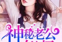 哪里能找到神秘老公有点坏小说的最新更新和免费章节？-贝壳文学