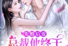 先婚后爱:总裁他终于暗恋成真了小说无弹窗阅读的网站推荐-贝壳文学