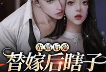 先婚后爱:替嫁后瞎子老公复明了陆时晏苏诗琪小说在线章节免费阅读-贝壳文学