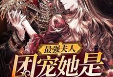 主人公云久夕萧湛霆小说最强夫人：团宠她是满级大佬在线章节阅读-贝壳文学