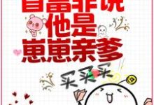 免费在线阅读先婚后爱：首富非说他是崽崽亲爹？小说的正规网站有哪些？-贝壳文学