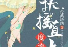扶摇直上度流年小说有没有完整的免费版本在线阅读?-贝壳文学