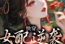 主人公叫沈帷秦书瑜的小说快穿：女配逆袭专业户在线阅读章节-贝壳文学