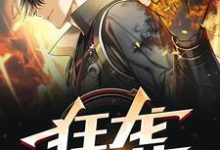 狂龙傲世小说全文阅读需要付费吗?寻找免费资源-贝壳文学