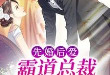 陆凌琛夏然是哪本书的主角？先婚后爱：霸道总裁秒变粘人精免费读-贝壳文学