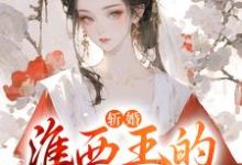 男女主人公沈桃溪谢瑨小说斩婚:淮西王的娇娇儿章节免费阅读-贝壳文学