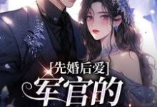 已完结小说《先婚后爱：军官的绝世医妻》最新章节-贝壳文学