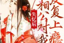 完整版的失忆后，相公对我反复上瘾小说在哪里可以免费读到？-贝壳文学
