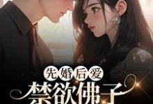 华瑶傅商宴为主角的小说叫什么?免费看先婚后爱:禁欲佛子小舅哄我生崽-贝壳文学