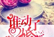 谁动了我的婚姻免费阅读，谁动了我的婚姻章节在线阅读-贝壳文学