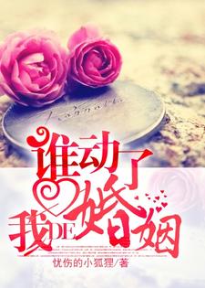 谁动了我的婚姻免费阅读，谁动了我的婚姻章节在线阅读