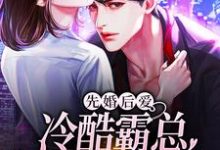 先婚后爱:冷酷霸总追妻路漫漫小说,先婚后爱:冷酷霸总追妻路漫漫云卿傅聿琛-贝壳文学