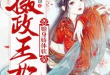《摄政王妃她身娇体软》小说章节列表免费试读,夜七玖兰溟小说在线阅读-贝壳文学