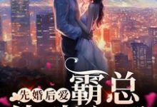 完结版《先婚后爱，霸总他动心了》免费阅读-贝壳文学