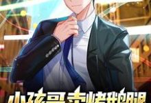 小孩哥卖烤鹅腿，震撼全体清北生小说全文哪里可以免费看？-贝壳文学