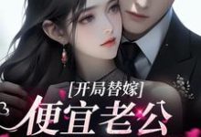 完结版《开局替嫁，便宜老公身份不一般》章节阅读-贝壳文学